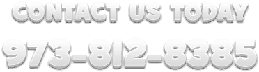 973-812-8385